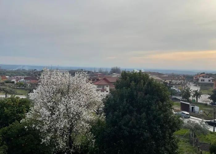 Apartamento Puri
